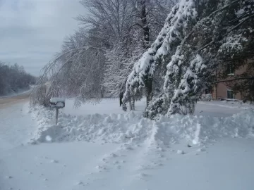 [Hearth.com] Snow day #2 for the kids. Holy crap! What a storm this turned into. No power all day. New pics added