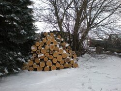 wood 2012 January 001.jpg