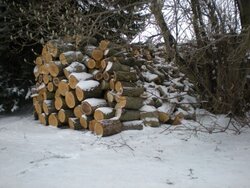 wood 2012 January 002.jpg