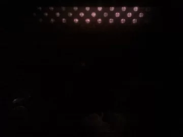 [Hearth.com] BK Light Show
