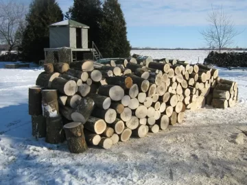 [Hearth.com] Saturday afternoon cutting.