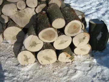[Hearth.com] Saturday afternoon cutting.