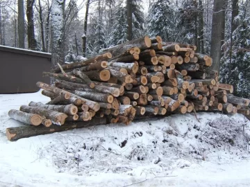 [Hearth.com] Back to pallet wood