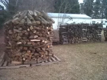 [Hearth.com] Holtzhausen, Scourngers dream or Waste of time? (pic added)