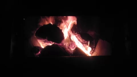 [Hearth.com] Getting ready for next year. (pics)