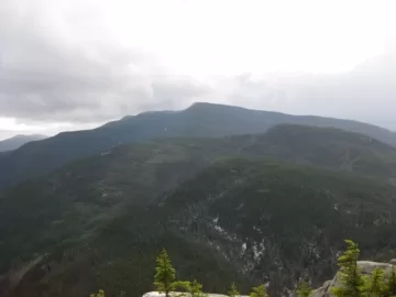 [Hearth.com] Went for a hike today!