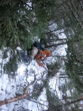 [Hearth.com] Went for a hike today!