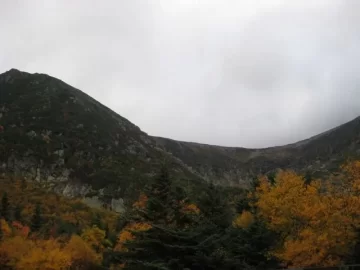 [Hearth.com] Went for a hike today!