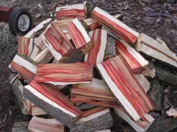 [Hearth.com] Anyone burn Boxelder
