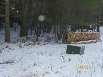 [Hearth.com] Felling by Mother Nature