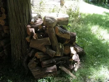 [Hearth.com] Man I Hate Uglies