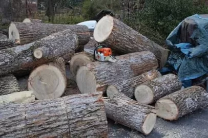[Hearth.com] 3 loads in a day