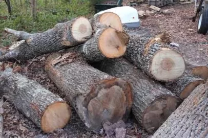 [Hearth.com] 3 loads in a day