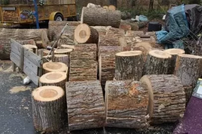 [Hearth.com] 3 loads in a day