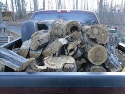 Cut some old wood today.