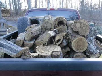 [Hearth.com] Cut some old wood today.