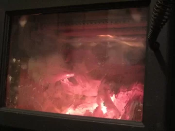 [Hearth.com] Should I burn this wood?