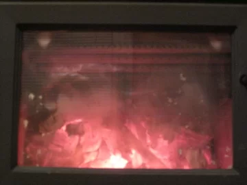 [Hearth.com] Should I burn this wood?