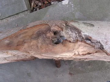 [Hearth.com] my beech got screwed