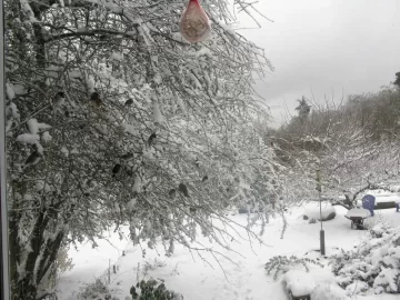 [Hearth.com] Snow in Seattle, and then ...