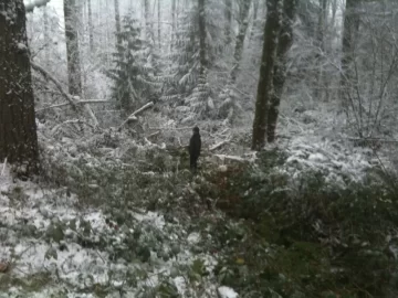 [Hearth.com] Winter arrived & headed East! Pic heavy.