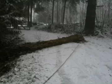 [Hearth.com] Winter arrived & headed East! Pic heavy.