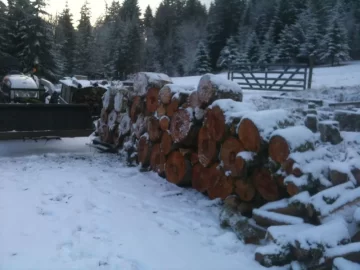 [Hearth.com] Winter arrived & headed East! Pic heavy.