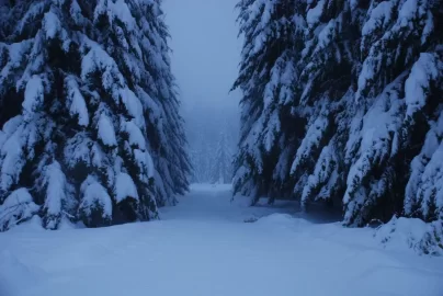 [Hearth.com] Winter arrived & headed East! Pic heavy.