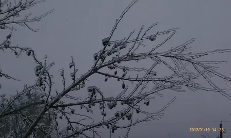 [Hearth.com] Snow in Seattle, and then ...