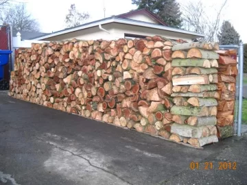 [Hearth.com] Today's Scrounge with Pics