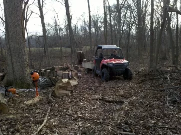 [Hearth.com] Good Day in the Woods, pics