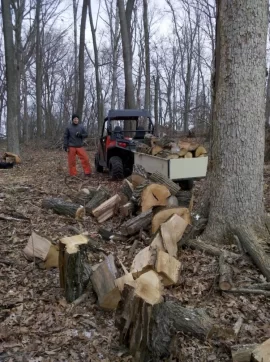 [Hearth.com] Good Day in the Woods, pics