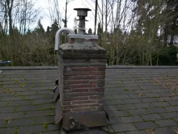 [Hearth.com] OAK install question, is it possible to go up the chimney with an OAK ?