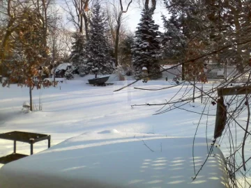 [Hearth.com] Out my back window