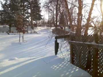 [Hearth.com] Out my back window
