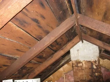 [Hearth.com] Chimney insulation