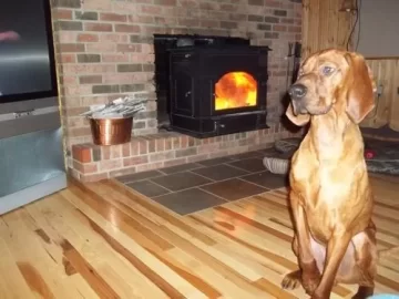 [Hearth.com] Pictures of my saturday work, load of hickory.