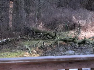 [Hearth.com] Sometimes Mother Nature can be your friend