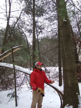 [Hearth.com] how to tackle this tree?