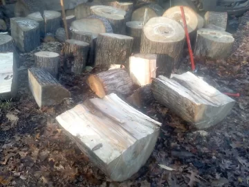 [Hearth.com] Wood Id