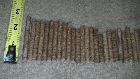 [Hearth.com] I have the longest....