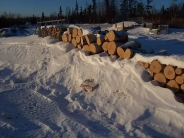 [Hearth.com] Does it really help to stack  wood in a windy area, pics
