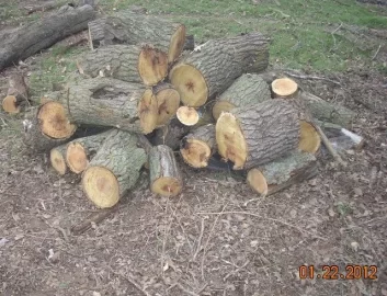 [Hearth.com] A good start today then the rain came.