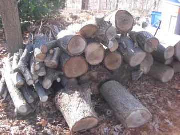 [Hearth.com] First Scrounged Wood (PICS) - Still No Stove, but Preparing!!! Now what!!