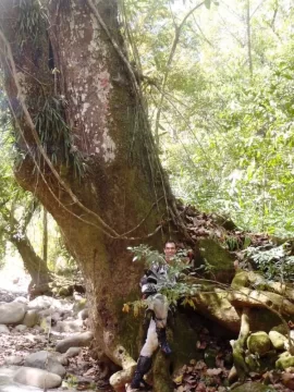 [Hearth.com] Costa Rica
