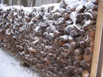 [Hearth.com] Got some more stacking done today.