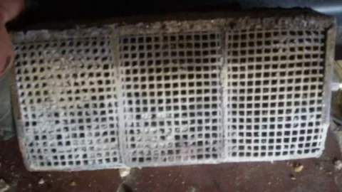 [Hearth.com] Swapping the cat