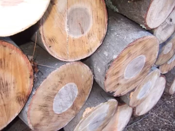 [Hearth.com] waterlogged wood worth it?