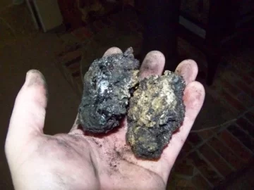 [Hearth.com] catalyst a chimney fire preventer?