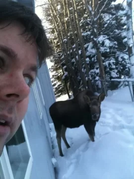 [Hearth.com] Moose visits wood shed, pics of tracks